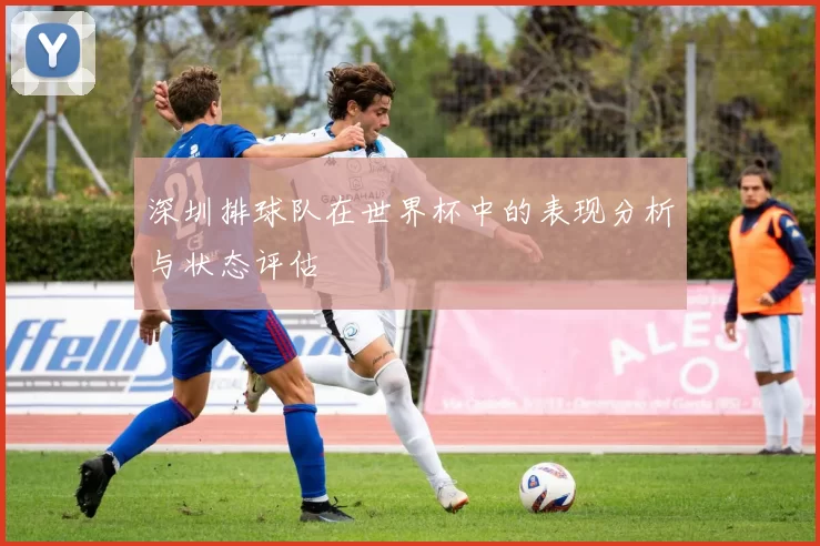深圳排球队在世界杯中的表现分析与状态评估