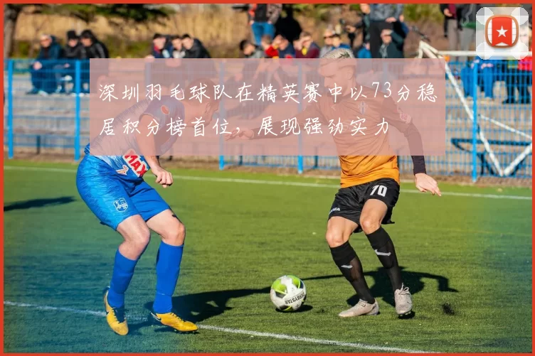 深圳羽毛球队在精英赛中以73分稳居积分榜首位，展现强劲实力