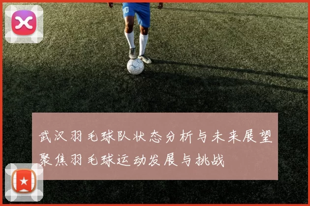 武汉羽毛球队状态分析与未来展望聚焦羽毛球运动发展与挑战
