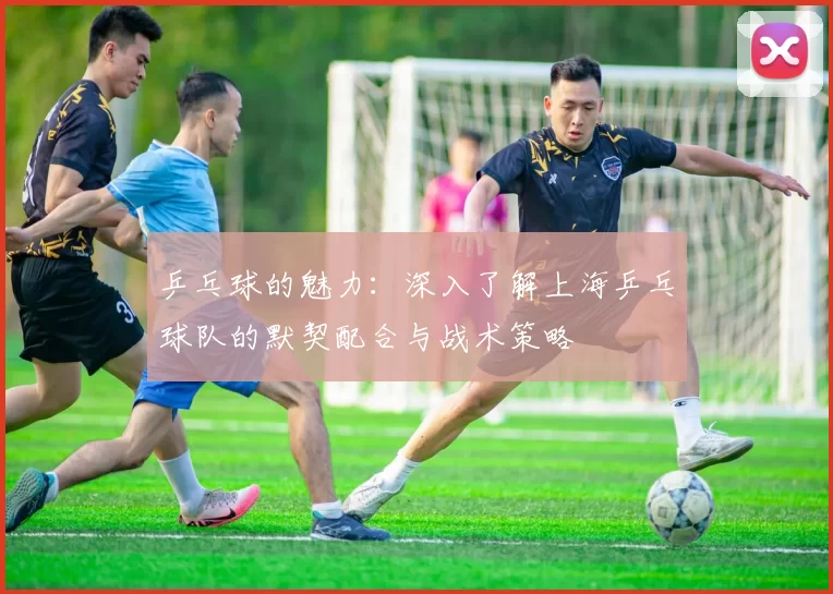 乒乓球的魅力：深入了解上海乒乓球队的默契配合与战术策略