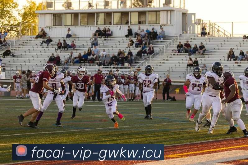 App Interface Preview