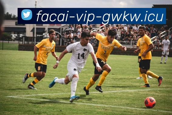 开云体育APP 封面图